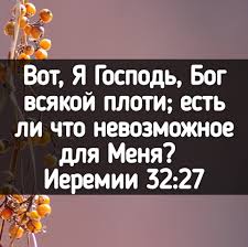 Сила плоти (продолжение)
