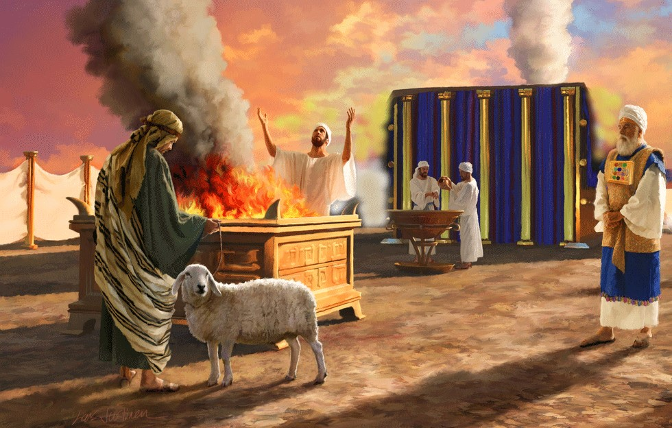 2Царств 24  глава